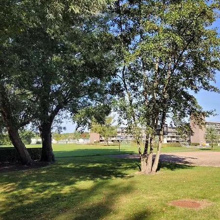 Cosy One-bedroom In *